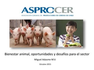Miguel Adasme M.V.
Octubre 2015
Bienestar animal, oportunidades y desafíos para el sector
 