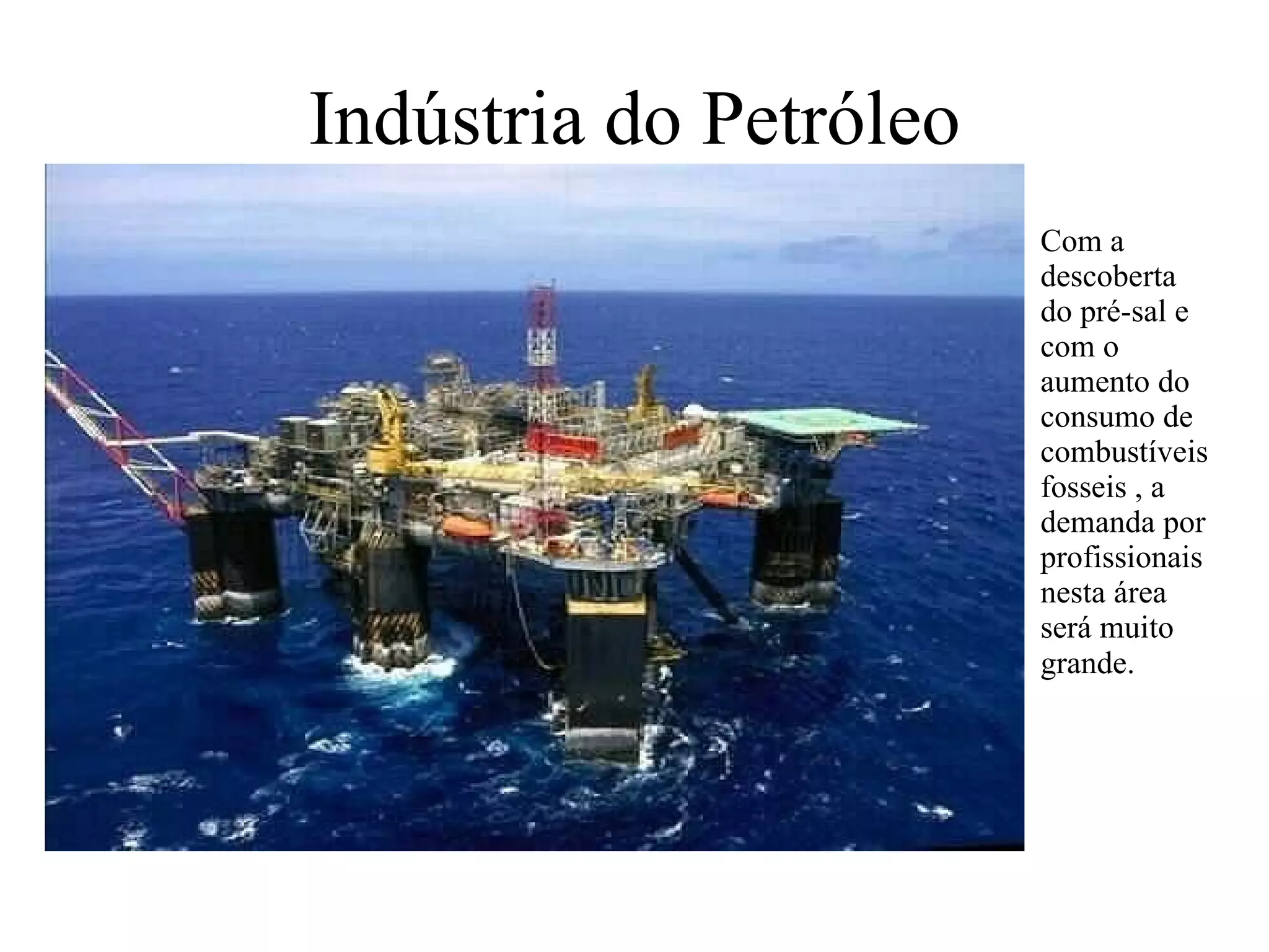 Indústria do Petróleo Com a descoberta do pré-sal e com o aumento do consumo de combustíveis fosseis , a demanda por profissionais nesta área será muito grande.   