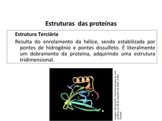 Estrutura Terciária
Resulta do enrolamento da hélice, sendo estabilizada por
pontes de hidrogênio e pontes dissulfeto. É literalmente
um dobramento da proteína, adquirindo uma estrutura
tridimensional.
Estruturas das proteínas
Imagem:
Rockpocket
/
Estrutura
terciária
de
uma
proteína,
em
26
de
setembro
de
2009
/
Public
Domain
 