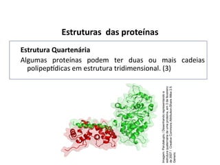 Estruturas das proteínas
Estrutura Quartenária
Algumas proteínas podem ter duas ou mais cadeias
polipeptídicas em estrutura tridimensional. (3)
Imagem:
Parutakupiu
/
Desenhando
representando
a
estrutura
quaternária
de
uma
proteína,
em
3
de
fevereiro
de
2007
/
Creative
Commons
Attribution-Share
Alike
2.5
Generic
 