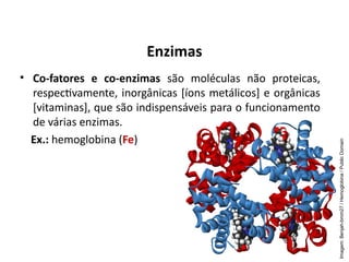 • Co-fatores e co-enzimas são moléculas não proteicas,
respectivamente, inorgânicas [íons metálicos] e orgânicas
[vitaminas], que são indispensáveis para o funcionamento
de várias enzimas.
Ex.: hemoglobina (Fe)
Enzimas
Imagem:
Benjah-bmm27
/
Hemoglobina
/
Public
Domain
 