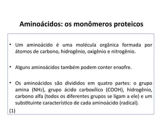 • Um aminoácido é uma molécula orgânica formada por
átomos de carbono, hidrogênio, oxigênio e nitrogênio.
• Alguns aminoácidos também podem conter enxofre.
• Os aminoácidos são divididos em quatro partes: o grupo
amina (NH2), grupo ácido carboxílico (COOH), hidrogênio,
carbono alfa (todos os diferentes grupos se ligam a ele) e um
substituinte característico de cada aminoácido (radical).
(1)
Aminoácidos: os monômeros proteicos
 
