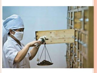 AS PRÁTICAS DE SAÚDE CONTEXTO HISTÓRICO.pptx