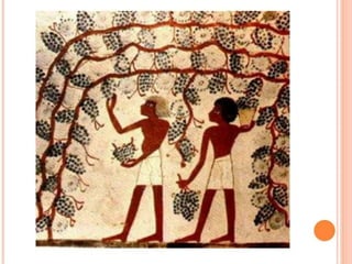 AS PRÁTICAS DE SAÚDE CONTEXTO HISTÓRICO.pptx