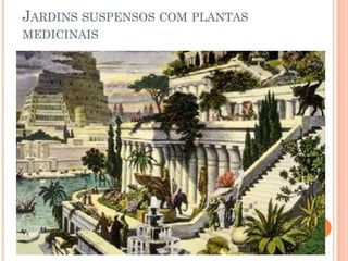 AS PRÁTICAS DE SAÚDE CONTEXTO HISTÓRICO.pptx