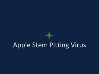 Apple Stem Pitting Virus
 