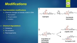 Modifications
 Post-translation modifications
 Chemical changes not directly coded in DNA
 Glycosylation
 Phosphorylation
 Lipidation
 Chemical degradations
 Oxidations
 De-amidation
 Rearrangements
 