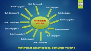 Bulk Conjugate1
Bulk Conjugate2
Bulk Conjugate3
Bulk Conjugate4
Bulk Conjugate5
Bulk Conjugate6
Bulk Conjugate7
Bulk Conjugate8
Bulk Conjugate9
Bulk Conjugate10
Bulk Conjugate11
Bulk Conjugate12
Bulk Conjugate13
Formulated
Vaccine
Multivalent pneumococcal conjugate vaccine
 