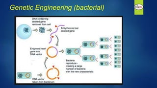 Genetic Engineering (bacterial)
 
