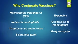 Why Conjugate Vaccines?
Expensive
Challenging to
manufacture
Many serotypes
Haemophilus influenzae b
(Hib)
Neisseria menin...