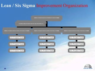 Lean / Six Sigma  Improvement Organization 