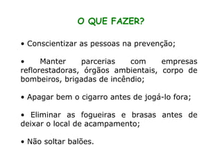 O QUE FAZER? Conscientizar as pessoas na prevenção; Manter parcerias com empresas reflorestadoras, órgãos ambientais, corpo de bombeiros, brigadas de incêndio; Apagar bem o cigarro antes de jogá-lo fora; Eliminar as fogueiras e brasas antes de deixar o local de acampamento; Não soltar balões. 