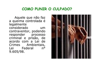 COMO PUNIR O CULPADO? Aquele que não faz a queima controlada é legalmente considerado um contraventor, podendo responder processo criminal e prisão, de acordo com a Lei de Crimes Ambientais, Lei Federal n° 9.605/98.  