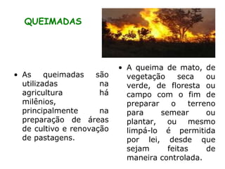 QUEIMADAS As queimadas são utilizadas na agricultura há milênios, principalmente na preparação de áreas de cultivo e renovação de pastagens.  A queima de mato, de vegetação seca ou verde, de floresta ou campo com o fim de preparar o terreno para semear ou plantar, ou mesmo limpá-lo é permitida por lei, desde que sejam feitas de maneira controlada.  