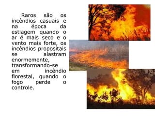 Raros são os incêndios casuais e na época da estiagem quando o ar é mais seco e o vento mais forte, os incêndios propositais se alastram enormemente, transformando-se em incêndio florestal, quando o fogo perde o controle.  