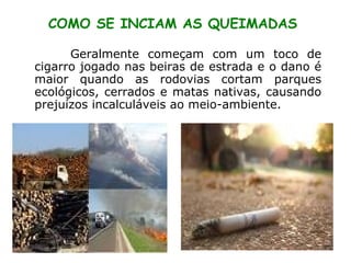 Geralmente começam com um toco de cigarro jogado nas beiras de estrada e o dano é maior quando as rodovias cortam parques ecológicos, cerrados e matas nativas, causando prejuízos incalculáveis ao meio-ambiente.  COMO SE INCIAM AS QUEIMADAS 