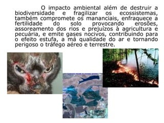 O impacto ambiental além de destruir a biodiversidade e fragilizar os ecossistemas, também compromete os mananciais, enfraquece a fertilidade do solo provocando erosões, assoreamento dos rios e prejuízos à agricultura e pecuária, e emite gases nocivos, contribuindo para o efeito estufa, a má qualidade do ar e tornando perigoso o tráfego aéreo e terrestre.   