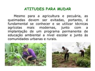 ATITUDES PARA MUDAR Mesmo para a agricultura e pecuária, as queimadas devem ser evitadas, portanto, é fundamental se conhecer e se utilizar técnicas agrícolas mais modernas, junto com a implantação de um programa permanente de educação ambiental a nível escolar e junto às comunidades urbanas e rurais.  