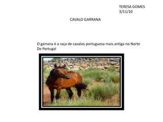 TERESA GOMES 3/11/10 CAVALO GARRANA O garrana é a raça de cavalos portuguesa mais antiga no Norte  De Portugal 