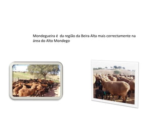 Mondegueira é  da região da Beira Alta mais correctamente na área do Alto Mondego