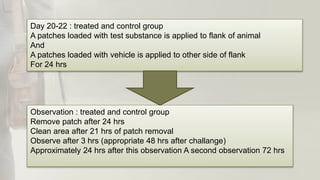 Day 20-22 : treated and control group
A patches loaded with test substance is applied to flank of animal
And
A patches loaded with vehicle is applied to other side of flank
For 24 hrs
Observation : treated and control group
Remove patch after 24 hrs
Clean area after 21 hrs of patch removal
Observe after 3 hrs (appropriate 48 hrs after challange)
Approximately 24 hrs after this observation A second observation 72 hrs
 