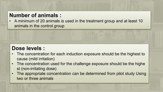 Number of animals :
• A minimum of 20 animals is used in the treatment group and at least 10
animals in the control group
Dose levels :
• The concentration for each induction exposure should be the highest to
cause (mild irritation)
• The concentration used for the challenge exposure should be the highe
st (non-irritating dose)
• The appropriate concentration can be determined from pilot study Using
two or three animals
 