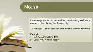 Mouse
Immune system of the mouse has been investigated more
extensive than that of the Guinea pig
Advantages – short duration and minimal animal treatment
Example:
1. Mouse ear swelling test
2. Local lymph node assay
 