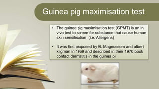 Guinea pig maximisation test
• The guinea pig maximisation test (GPMT) is an in
vivo test to screen for substance that cause human
skin sensitisation (i.e. Allergens)
• It was first proposed by B. Magnussom and albert
kligman in 1669 and described in their 1970 book
contact dermatitis in the guinea pi
 