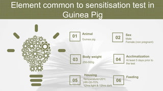 Element common to sensitisation test in
Guinea Pig
01
Guinea pig
Animal
03 250-500g
Body weight
05 Temperature=20℃
HR=30-70%
12hrs light & 12hrs dark
Housing
02 Male
Female (non pregnant)
Sex
04 At least 5 days prior to
the test
Acclimatization
06
Feeding
 