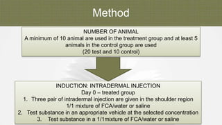 Method
NUMBER OF ANIMAL
A minimum of 10 animal are used in the treatment group and at least 5
animals in the control group are used
(20 test and 10 control)
INDUCTION: INTRADERMAL INJECTION
Day 0 – treated group
1. Three pair of intradermal injection are given in the shoulder region
1/1 mixture of FCA/water or saline
2. Test substance in an appropriate vehicle at the selected concentration
3. Test substance in a 1/1mixture of FCA/water or saline
 