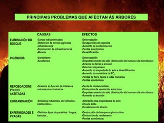 PRINCIPAIS PROBLEMAS QUE AFECTAN ÁS ÁRBORES
CAUSAS EFECTOS
ELIMINACIÓN DO
BOSQUE
-Cortas indiscriminadas
-Obtención de terreos agrícolas
-Urbanizacións
-Construción de infraestructuras
-Minería
-Deforestación
-Desaparición de especies
-Aumento de contaminación
-Perdas económicas
-Desertificación
INCENDIOS -Vandalismo
-Accidentes
-Deforestación
-Empobrecemento do solo (diminución do humus e da microfauna)
-Arrastre de terras e erosión
-Deterioro da paisaxe
-Aumento da sequedade do solo e desertificación
-Aumento das emisións de CO2
-Perdas de flora, fauna e vidas humanas
-Perdas económicas
REPOBOACIÓNS
POUCO
AXEITADAS
-Deseños en función de intereses
unicamente económicos
-Perda de biodiversidade
-Diminución da vexetación autóctona
-Empobrecemento do solo (diminución do humus e da microfauna)
-Aumento da erosión
CONTAMINACIÓN -Emisións industriais, de vehículos,
calefaccións...
-Alteración das propiedades do solo
-Chuvia ácida
-Envelenamento directo
ENFERMIDADES E
PRAGAS
-Distintos tipos de parásitos: fungos,
insectos...
-Destrucción de bosques e plantacións
-Diminución do rendemento
-Perdas económicas
 