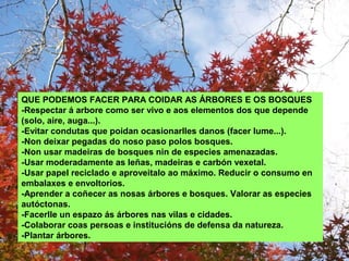 QUE PODEMOS FACER PARA COIDAR AS ÁRBORES E OS BOSQUES
-Respectar á arbore como ser vivo e aos elementos dos que depende
(solo, aire, auga...).
-Evitar condutas que poidan ocasionarlles danos (facer lume...).
-Non deixar pegadas do noso paso polos bosques.
-Non usar madeiras de bosques nin de especies amenazadas.
-Usar moderadamente as leñas, madeiras e carbón vexetal.
-Usar papel reciclado e aproveitalo ao máximo. Reducir o consumo en
embalaxes e envoltorios.
-Aprender a coñecer as nosas árbores e bosques. Valorar as especies
autóctonas.
-Facerlle un espazo ás árbores nas vilas e cidades.
-Colaborar coas persoas e institucións de defensa da natureza.
-Plantar árbores.
 