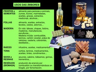 FROITOS e
SEMENTES
alimento para persoas e animais,
zumes, licores, marmeladas,
aceites, graxas, extractos,
medicinas, alcohois...
FOLLAS alimento, aceites, extractos,
tecidos, cestos, adornos...
MADEIRA En rolo: táboas, chapas, listóns,
madeiros, manufacturas,
esculturas...
Madeira miúda: combustible,
taninos, carbón vexetal, polpa de
celulosa, cestería, colorantes,
destilados...
RAÍCES infusións, aceites, medicamentos...
TONA cortiza, taninos, medicamentos,
aceites, tintes, condimentos...
SAVIA e
RESINAS
azucres, xabóns, bálsamos, gomas,
trementina...
RESÍDUOS
(BIOMASA)
produción de enerxía por
combustión ou transformándoos en
biogás, por fementación.
USOS DAS ÁRBORES
 
