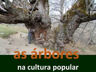 as árbores
na cultura popular
 