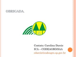 OBRIGADA. Contato: Carolina Darcie ICA – CODEAGRO/SAA [email_address] 