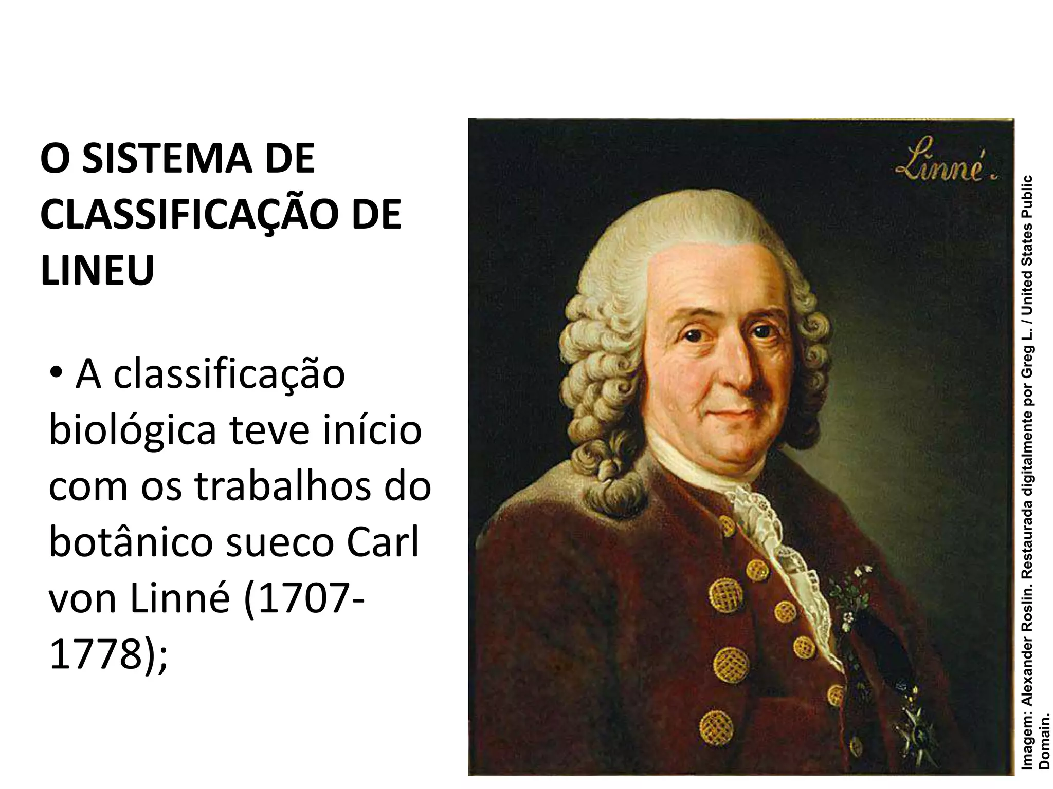 As regras de nomenclatura binomial de Lineu e formas de classificação ...