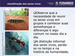 Observe que a
necessidade de reunir
os seres vivos em
grupos e conhecer suas
semelhanças e
diferenças é algo
comum no nosso dia a
dia.
A distinção informal
dos seres vivos, perde-
se no tempo e na
história da humanidade.
classificação dos seres vivos
Imagem:
Steve
Jurvetson
from
Menlo
Park,
USA
/
Creative
Commons
Imagem:
Damiano
Luchetti
/
Public
Domain
 
