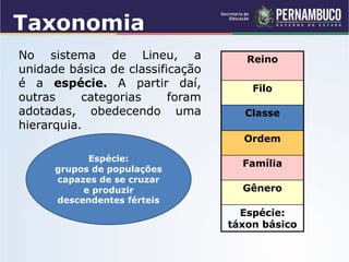 Taxonomia
No sistema de Lineu, a
unidade básica de classificação
é a espécie. A partir daí,
outras categorias foram
adotadas, obedecendo uma
hierarquia.
Reino
Filo
Classe
Ordem
Família
Gênero
Espécie:
táxon básico
Espécie:
grupos de populações
capazes de se cruzar
e produzir
descendentes férteis
 