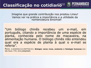 “Um biólogo chinês recebeu um e-mail, em
português, citando a importância de uma espécie de
planta, conhecida pelo nome de macaxeira, na
alimentação humana. O biólogo chinês não entendeu
qual era a espécie de planta à qual o e-mail se
referia”.
PEZZI, A.GOWDAK.D.O.MATTOS.N.S. Biologia: seres vivos, anatomia e fisiologia humanas.1ed.-
São Paulo: FTD, 2010,adaptado
Classificação no cotidiano
Imagine que grande contribuição nos prestou Lineu!
Vamos ver na prática a importância e a utilidade da
nomenclatura binomial!
 