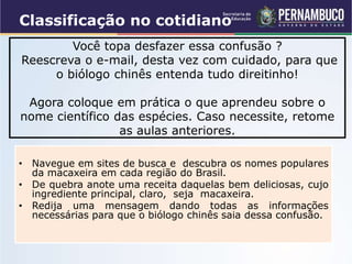 • Navegue em sites de busca e descubra os nomes populares
da macaxeira em cada região do Brasil.
• De quebra anote uma receita daquelas bem deliciosas, cujo
ingrediente principal, claro, seja macaxeira.
• Redija uma mensagem dando todas as informações
necessárias para que o biólogo chinês saia dessa confusão.
Você topa desfazer essa confusão ?
Reescreva o e-mail, desta vez com cuidado, para que
o biólogo chinês entenda tudo direitinho!
Agora coloque em prática o que aprendeu sobre o
nome científico das espécies. Caso necessite, retome
as aulas anteriores.
Classificação no cotidiano
 