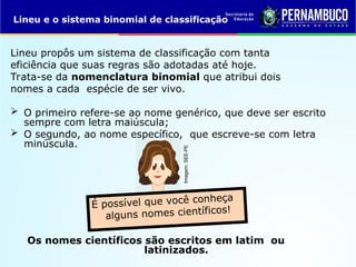 As regras de nomenclatura binomial de Lineu e formas de classificação ...