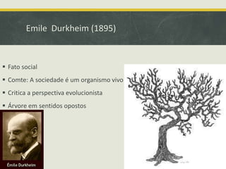 Emile Durkheim (1895)
 Fato social
 Comte: A sociedade é um organismo vivo
 Critica a perspectiva evolucionista
 Árvore em sentidos opostos
 