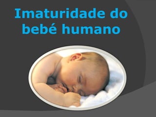 Imaturidade do bebé humano 