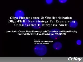 Oligo Fluorescence  In Situ  Hybridization  (Oligo-FISH): New Strategy For Enumerating Chromosomes In Interphase Nuclei Joan Aurich-Costa, Peter Keenan, Leah Zamechek and Sean Bradley One Cell Systems, Inc., Cambridge, MA 02139 Support:  NIH grant: 1R43 HD052597-01 NSF grant: IIP-0724876  
