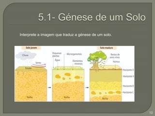 5.1- Génese de um SoloInterprete a imagem que traduz a génese de um solo.10