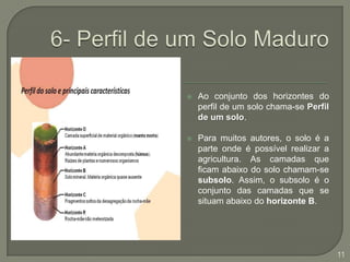 6- Perfil de um Solo MaduroAo conjunto dos horizontes do perfil de um solo chama-se Perfil de um solo.Para muitos autores, o solo é a parte onde é possível realizar a agricultura. As camadas que ficam abaixo do solo chamam-se subsolo. Assim, o subsolo é o conjunto das camadas que se situam abaixo do horizonte B.11