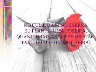 NO CUME DA MINHA SERRA
  EU PLANTEI UMA ROSEIRA,
QUANTO MAIS AS ROSAS BROTÃO
 TANTO MAIS O CUME CHEIRA.
 
