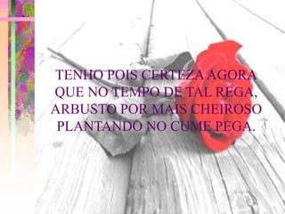 TENHO POIS CERTEZA AGORA
QUE NO TEMPO DE TAL REGA,
ARBUSTO POR MAIS CHEIROSO
 PLANTANDO NO CUME PEGA.
 