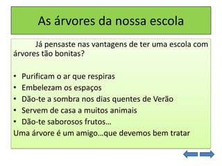 As árvores da nossa escola
Já pensaste nas vantagens de ter uma escola com
árvores tão bonitas?
• Purificam o ar que respiras
• Embelezam os espaços
• Dão-te a sombra nos dias quentes de Verão
• Servem de casa a muitos animais
• Dão-te saborosos frutos…
Uma árvore é um amigo…que devemos bem tratar
 