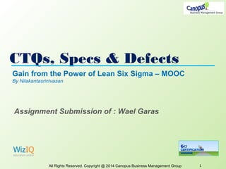 CTQs, Specs & Defects
All Rights Reserved. Copyright @ 2014 Canopus Business Management Group 1
Gain from the Power of Lean Six Sigma – MOOC
By Nilakantasrinivasan
Assignment Submission of : Wael Garas
 